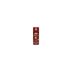 K05508007 COLORMAXX Krylon Spray Paint