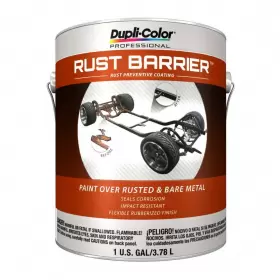 RBG100 DUPLI-COLOR Paint