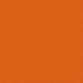 19421107 GENUINE GM PARTS Paint