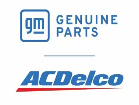 19432823 GENUINE GM PARTS Paint