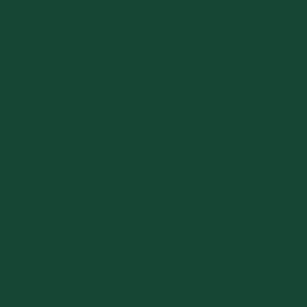 19367809 GM GENUINE PARTS Paint