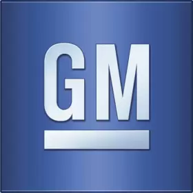 19421134 GM PARTS Paints