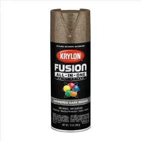 2787 KRYLON Paint Fusion