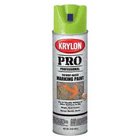 7304 KRYLON Paint Apwa