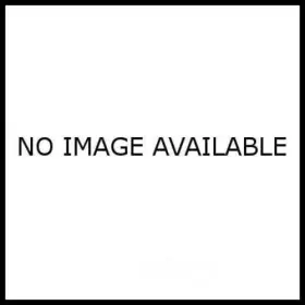 PMPC-19500-E015A MOTORCRAFT Paints
