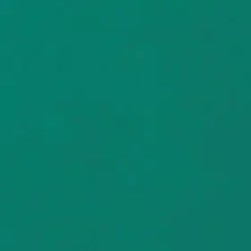 PP1020 OER Interior Paint Chevrolet #3