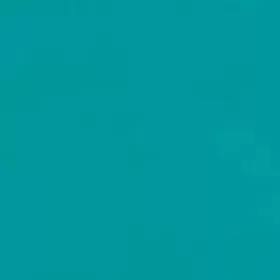 PP1024 OER Interior Paint Turquoise Net 57 Chevrolet #3
