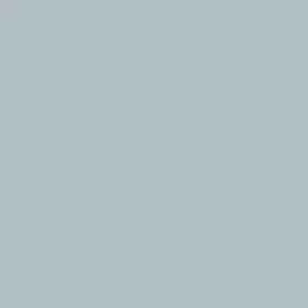 44316 POR 15 High Paint Temperature #2