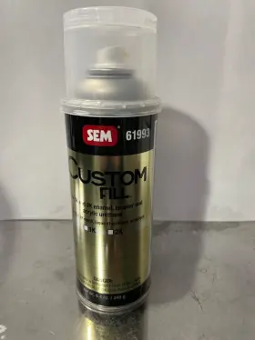 61993 SEM Fill Blank