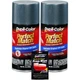 Duplicolor Kit BGM0536 +PW100, Aerosol Paint for GM 83 WA8915, Metallic Gunmetal