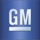 Genuine GM Paint 19434149
