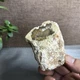 Top 70mm Natural Petrified Wood Crystal Rough Slice Madagascar 251g A1414