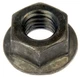 Dorman Flange Hex Nut-Class 8- M6-1.0 x 6mm 878-706