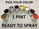 Pick Your Color- Ready to Spray - 1 Pint of Paint for Honda Car Truck SUV Pt RTS
