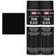 SEM 39143 Trim Black Aerosol (2) 15 Ounce (Pack of 2), 