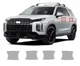 For Hyundai Palisade 2023-2024 Door Handles Cup Paint Protection Film PreCut PPF