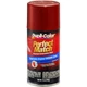 Duplicolor BNS0572 Perfect Match Touch-Up Paint