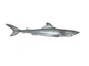 White Shark 20 Cm Series Sea Creatures Maia & Borges 13026
