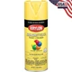 Krylon K05541007 COLORmaxx Spray Paint and Primer for Indoor/Outdoor Use, Glo...