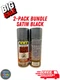 2 Pack VHT SP139 GM Satin Black Engine Enamel 11 oz