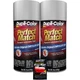 Duplicolor Kit BCC0414 +PW100, Aerosol Paint for Chrysler PDR, Metallic Graphite