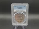 1877 S US Trade Dollar Straight Grade Pcgs With Chopmarks