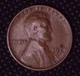 1924-D Lincoln Wheat Cent Semi Key Date Low Mintage 1(C) #075
