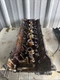 01 BMW Z3 E46 3.0L  Cylinder Head, M54B30 3.0L 6 Cylinder Engine 1436812