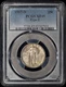 1917-D Type 2 Standing Liberty Quarter 25c PCGS XF45 - Original!