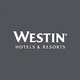 Westin Automotive WES88-0005 AEROSOL 45 OZ TOUCHUP PAINT BLACK