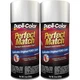 Duplicolor BFM0361 (2-Pack), Perfect Match Aerosol Paint Ford JP, Silver Birch