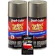 Duplicolor Kit BFM0352 +PW100, Perfect Match Aerosol Paint Ford TK, Mineral Gray