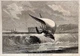 Engraving: Illustrated London News 1873 East African Slave Trade (B3G)