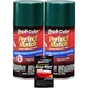 Duplicolor Kit BCC0423 +PW100 Aerosol Paint for Chrysler PG8, Forest Green Pearl