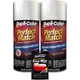 Duplicolor Kit BFM0361 +PW100, Perfect Match Aerosol Paint Ford JP, Silver Birch