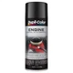 Duplicolor Paint DE1613 GLOSS BLACK 12 oz. Can