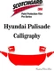 3M Scotchgard Paint Protection Film Pro Series 2021 2022 Hyundai Palisade 