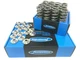 Supertech Dual Springs Steel Retainers Kit Honda B-Series B16A B18C VTEC 70LB