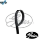 VRIBBED BELT 4PK845 FOR HONDA CIVIC/Hatchback/Fastback/Aerodeck/VII CRX CR-V G20
