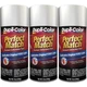 Duplicolor BFM0361 (3-Pack), Perfect Match Aerosol Paint Ford JP, Silver Birch