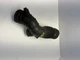 2007 Mitsubishi Eclipse 2.4L Engine Air Cleaner Intake Tube Hose MN180104 OEM