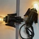 OEM BMW E36 Z3 E34 Turn Signal Pigtail 3 Pin Plug Socket Bulb Holder 81-02 Set