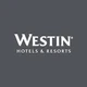 Westin Automotive WES88-0015 BRUSH CAP BOTTLE .6 OZ. TOUCHUP PAINT BLACK