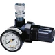 Sharpe Mfg. Co. 1410 16C-MR Series Mini Air Regulator, 1/4 in FNPSM Inlet x 1/4 