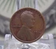 1914 "D" Lincoln WHEAT Cent Penny *DENVER* Mint 1c #EC5 🗝️KEY🗝️ ECC&C, Inc.